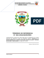 TDR Diseño de Gaviones