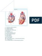 Elearning Jantung Dan Pembuluh Darah