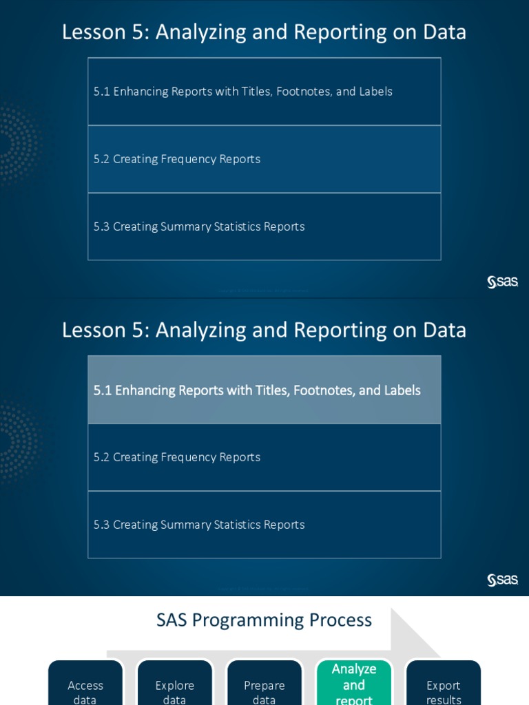 LWPG194-001 Lesson 5 | PDF | Sas (Software) | List Price