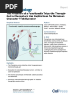 Biochemistry and Histocytochemistry Research Developments