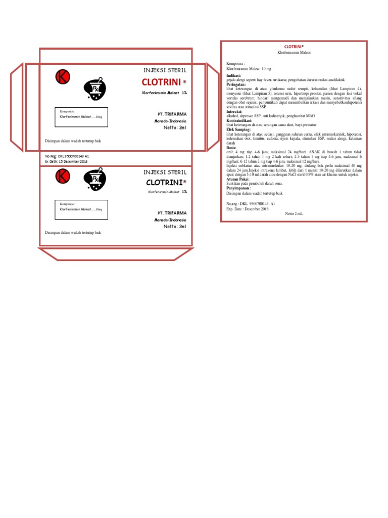 Dos Injeksi CTM | PDF