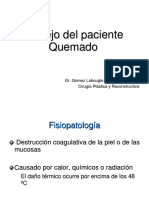 Paciente quemado.pdf