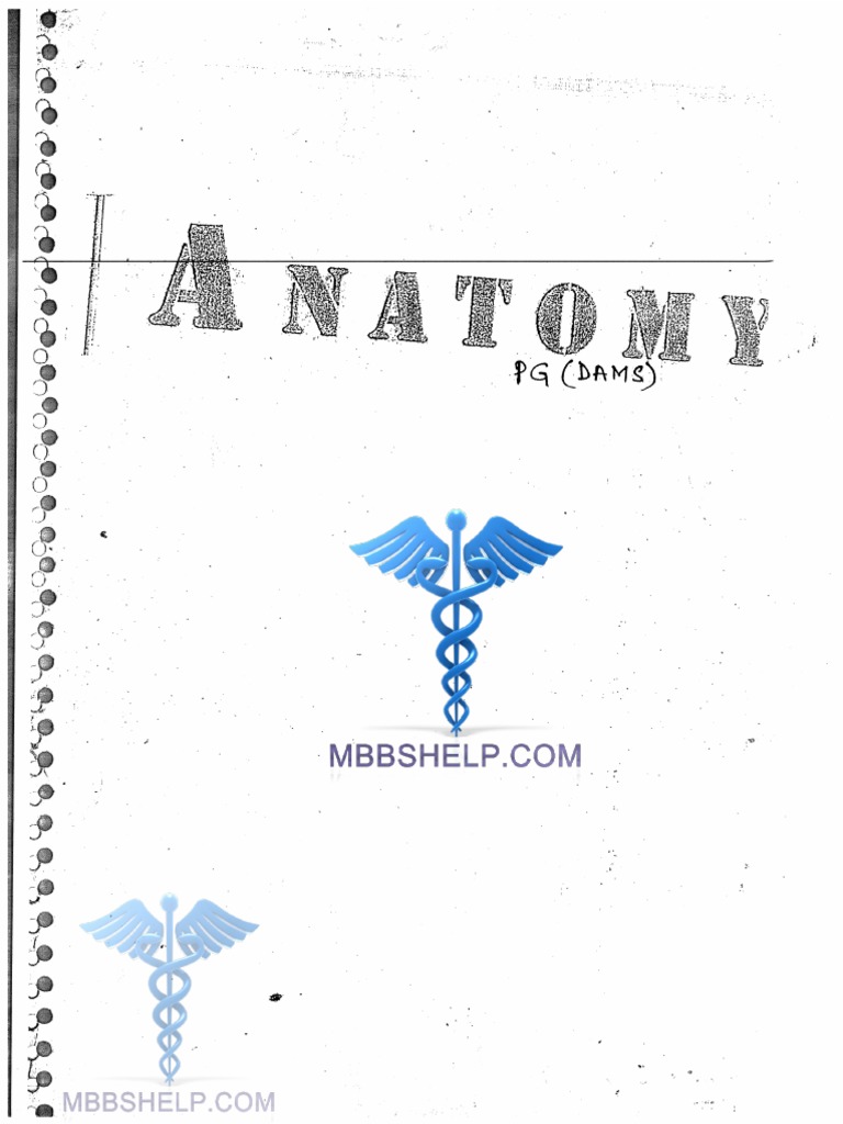 Anatomy PDF | PDF