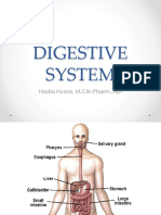 Anfisman 3 Digestive System