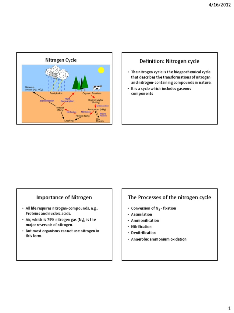 Understanding the Nitrogen Cycle | PDF | Metabolism | Industrial Gases