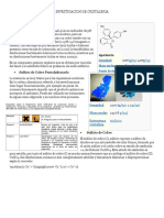 Investigacion de Cristaleria