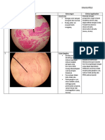 No. Gambar Keterangan Clinical Application: Shakavels