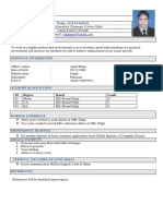 Curriculum Vitae SEO