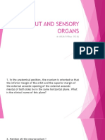 Caput and Sensory Organs: Dr. Aulia Syifa Sp. Og (K)