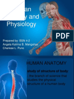 Human Anatomy and Physiology: Prepared By: BSN 4-2 Angela Katrina B. Mangahas Charisse L. Puno