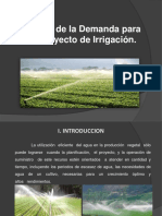 Demanda para Un Proyecto de Irrigacion