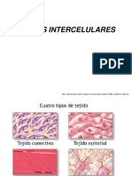 1.4Uniones_intercelulares.pdf