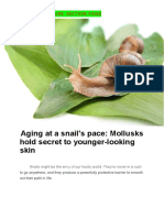 Aging A Snail