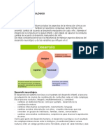 desarrollo neurologico