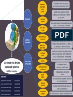 Mapa Mental Civica