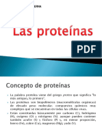 Proteínas: Estructura y Función en