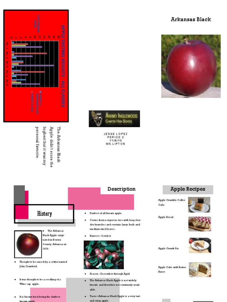 Jesse Lopez Apple Brochure | PDF | Apple | Baked Goods
