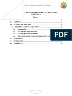 Diagnostico de La Industra Forestal