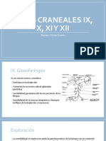 Pares Craneales IX, X, XI y XII