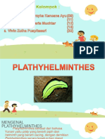 PLATHY