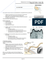 Cell Structures. Dacawe 2017 PDF