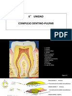 6° UNIDAD Complejo Dentino - Pulpar