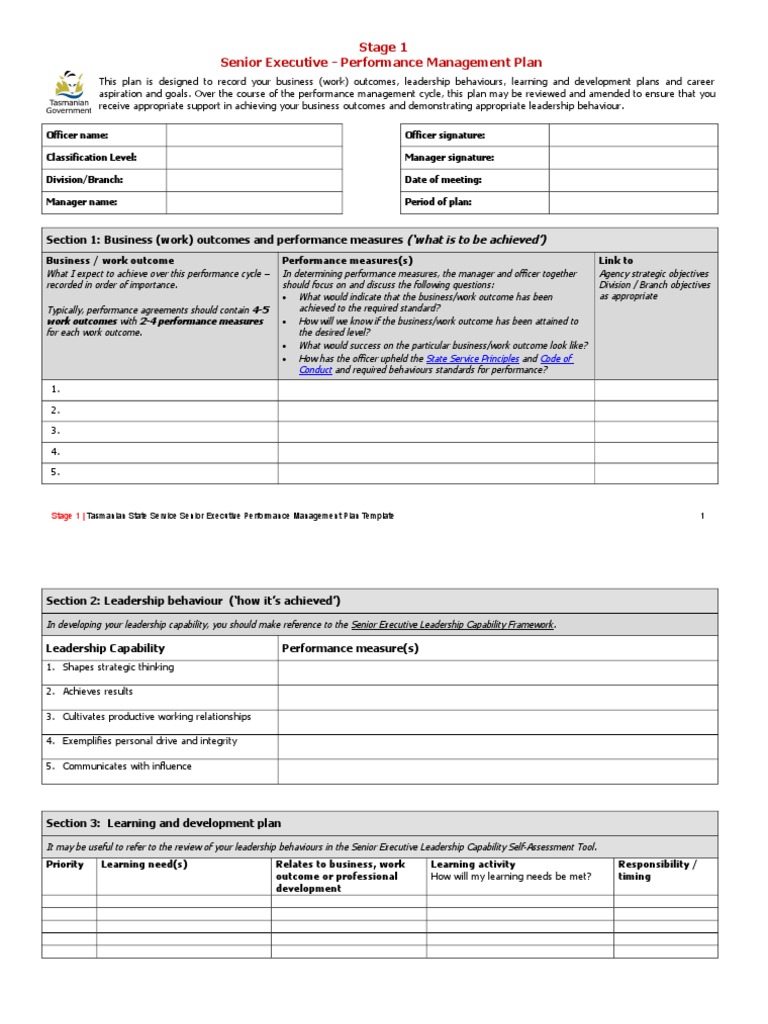 Senior Executive Performance Plan Template | PDF | Performance ...