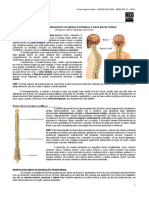 NEUROANATOMIA 02 - Macroscopia da Medula Espinhal - MED RESUMOS 2012 (1).pdf