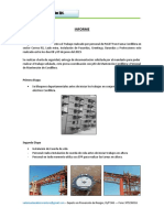 Informe Pansetti ,Faena Cordillera , Junio 08 y 09.