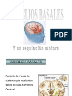 Ganglios Basales y su función motora ROMERO FEDERICO FISIOLOGIA