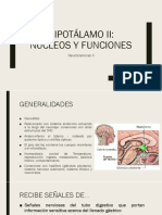 Hipotálamo Ii Neuro Ii