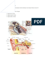 Anatomi Telinga Manusia