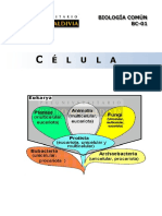 BC01 - Célula.pdf