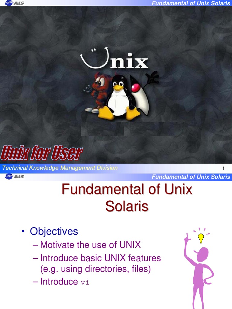 Unix Solaris Fundamentals Guide | PDF | File Transfer Protocol | System ...