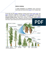 Coniferous DLL