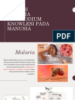 Infeksi Malaria Plasmodium Knowlesi Pada Manusia