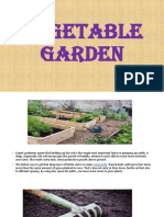 Vegetable Garden.pptx