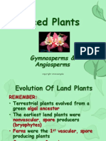 Evolution and Characteristics of Seed Plants: Gymnosperms and Angiosperms