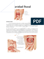 Cavidad Bucal