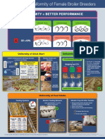 Uniformity Better Performance: Uniformity of Female Broiler Breeders