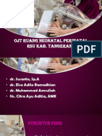 OJT Neonatal Perinatal.pptx