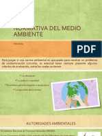 NORMATIVA DEL MEDIO AMBIENTE.pptx