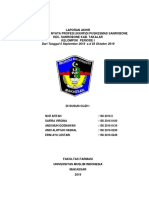 Laporan Akhir Kuliah Kerja Nyata Profesi (KKNP) Di Puskesmas Sanrobone Kec. Sanrobone Kab. Takalar Kelompok Periode I