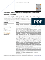 Physiology of Erectile Function: An Update On Intracellular Molecular Processes