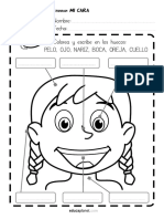 Cuerpo Humano Cara PDF