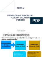 Prop Físicas Del Fluido y Meio Poroso PDF