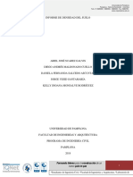 Densidad Informe Grupo C Grupo de Trabajo 2