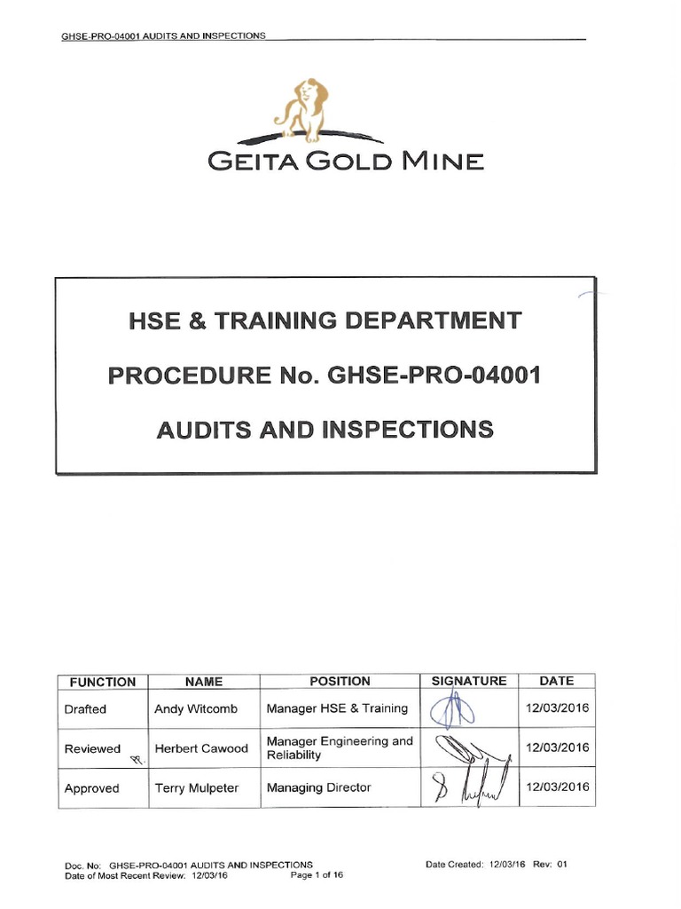 HSE Audit Procedures | PDF
