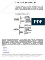 22-Mutaciones cromosómicas.pdf