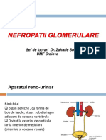 Curs 1 Nefropatii Glomerulare